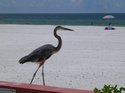 DSCN1529.jpg